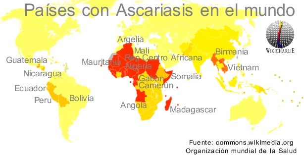 El alcoholismo la codificación en belarusi