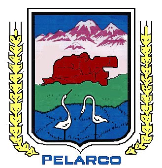 Escudo de Armas de Pelarco