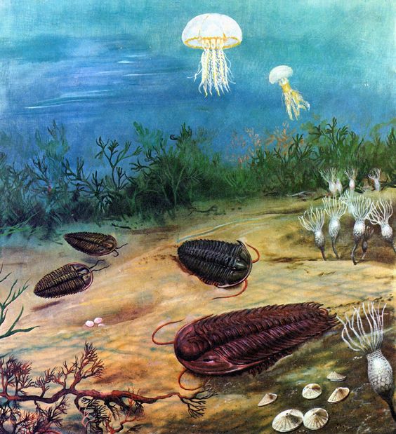 Zdenek Burian dibujo 7.jpg