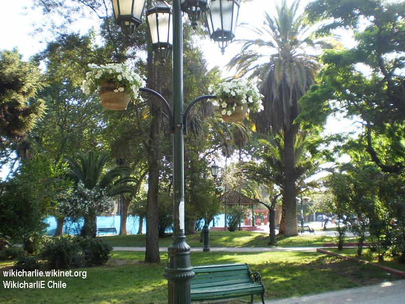 Quilicura WikicharliE