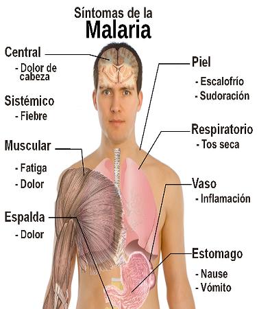 Sintomas Malaria.jpg