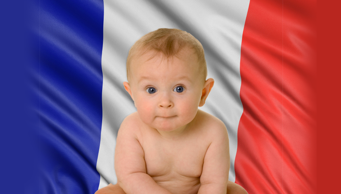 Virus con la bendera francesa.png