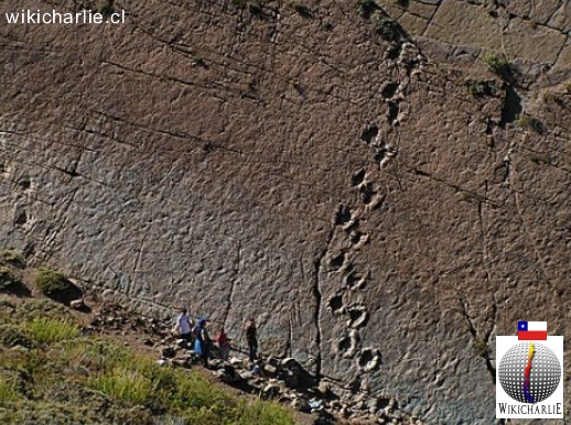 Huellas Dinosaurios El flaco Chile.jpg