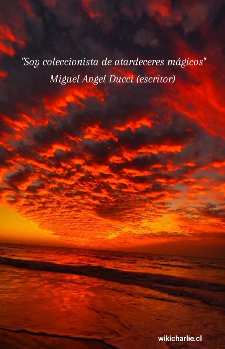 Soy coleccionista de atardeceres mágicos. Ducci.jpg