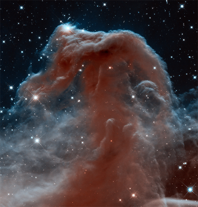 Nebulosa Cabeza de Caballo - WikicharliE