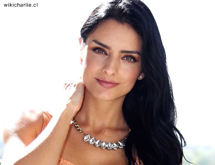 madre de Aislinn Derbez gabriela michel