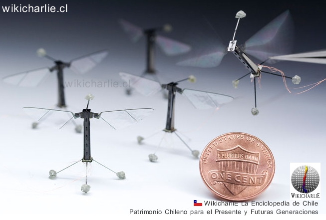 Tiny-robo-fly-micro-energy-660.jpg