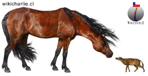 El Caballo, hoy y ayer