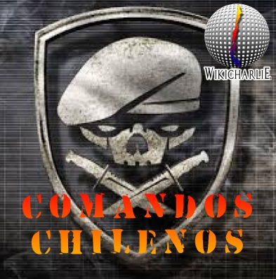 Comandos Chile.jpg