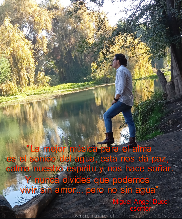 Frase de M. A. Ducci.png