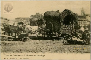 Un puesto de sandias a los pies de una carreta chilena, en el Mercado de Santiago, imagen cercana al 1900. /Fuente: Costumbres chilenas. /Autor: J. Allen de Valparaíso.