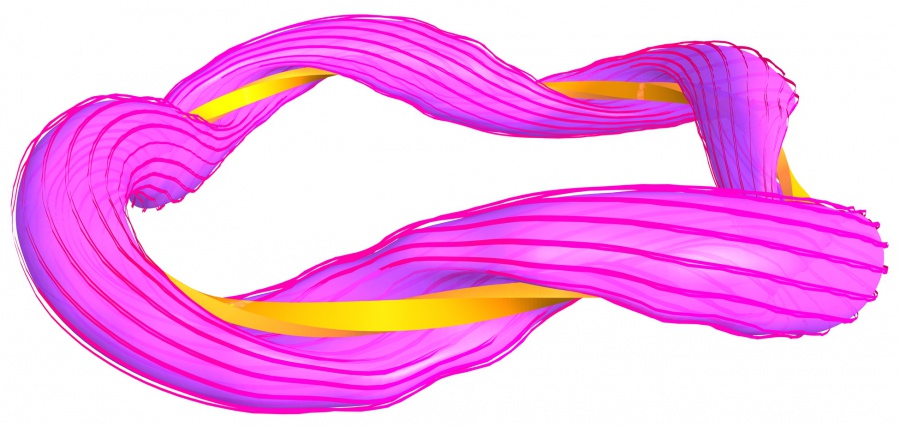 El plasma del TJ-II (rosa) y una línea del campo magnético confinante (cinta roja), girando alrededor de la bobina del campo helicoidal (amarillo).