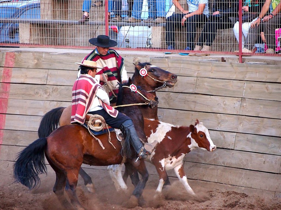 Rodeo Chileno.jpg