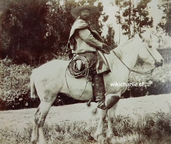 Huaso de Talca, posando con aperos. El 🐎 caballo es un Colino, especial para la agricultura maulina. Fecha: 1890.
