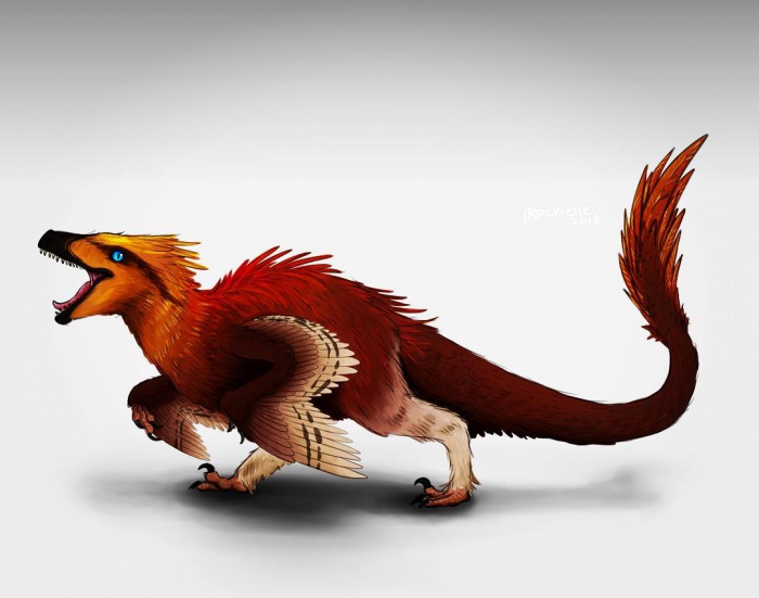Acheroraptor.jpg