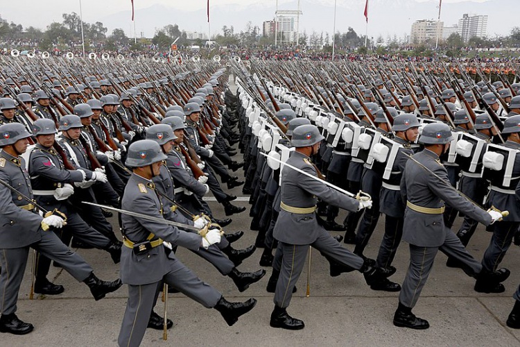 Efectivos del Ejercito Parada Militar 2015.jpg