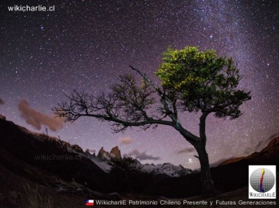 Patagonia Chilena y via lactea.jpg