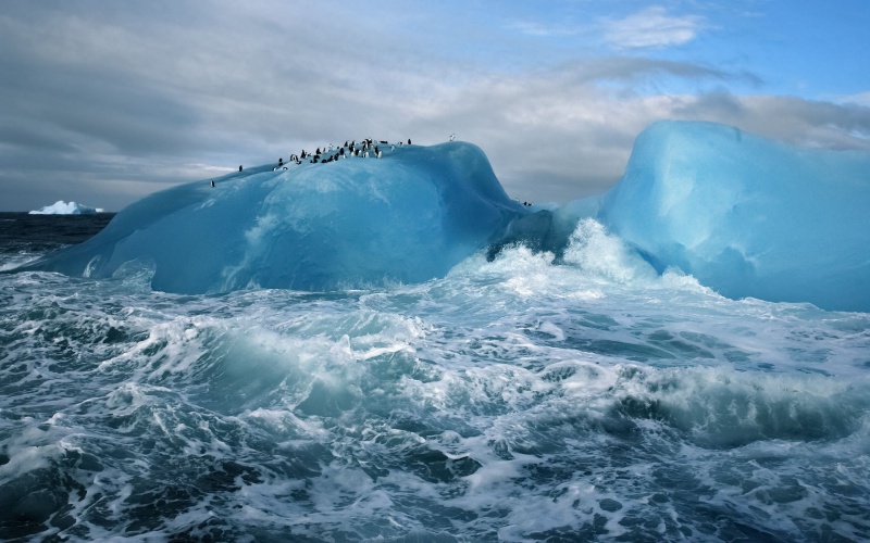 Pinguinos sobre Iceberg en tormenta.JPG