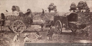 Carretas viajeras de Santiago a Valparaíso 1862.
