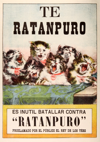 Té Ratampuro en 1904