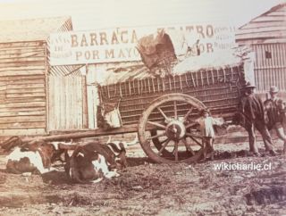 Imagen de una carreta chilena en Valparaíso, que transporta leña. Podemos apreciarla estructura baja hecha de troncos y la parte superior de coligues, de esta forma alivianaban el peso de la carreta y era muy resistente. El tapado de la madera está realizado con cuero. A la izquierda dos bueyes descansando y a la derecha los dos arrieros. Al medio una pequeña niña. El letrero atrás dice: Cañas de Guayaquil -Barraca Castro, por mayor y menor- pinos y otras maderas. //Fecha:1863. //Autor: Rafael Castro y Ordóñez. //Fuente: Comisión Científica del Pacífico.