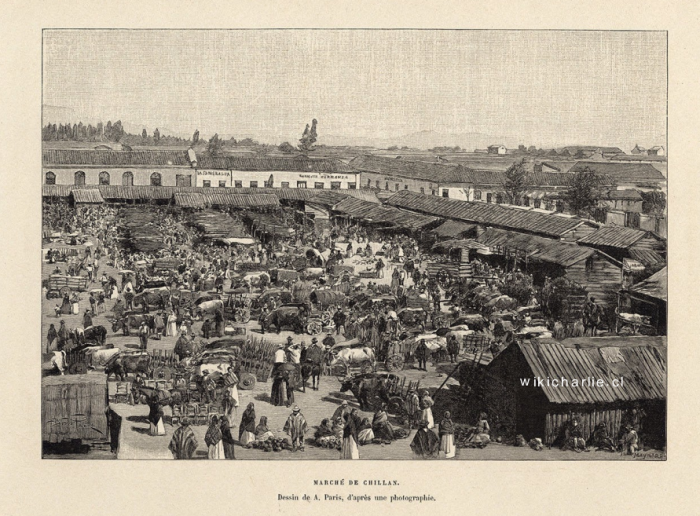 Mercado de Chillan 1903.png