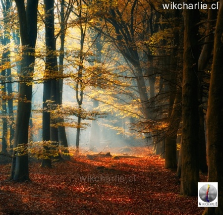 Vilches Alto Valle cordillerano Talca.jpg