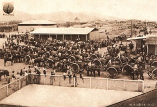 La imagen de 1896 nos muestra las carretas tiradas por mulas y caballos, que llegaban de madrugada a la Oficina Salitrera Agua Santa, localizada en el Cantón Norte de Tarapacá, departamento de Pisagua, para cargar el preciado salitre con destino al pueblo de Negreiros donde estaba Ferrocarriles. La salitrera era de propiedad de doña Francisca Hidalgo viuda de Osorio, comenzó a elaborar salitre con el Sistema de Paradas en la década de 1850.