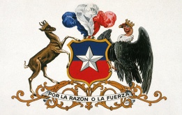 Escudo de Chile en WikicharliE.jpg