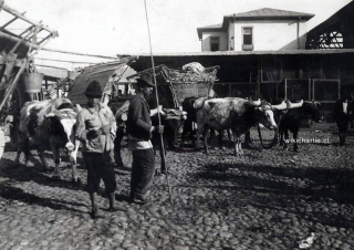 Carretas Vega Central de Santiago 1900.